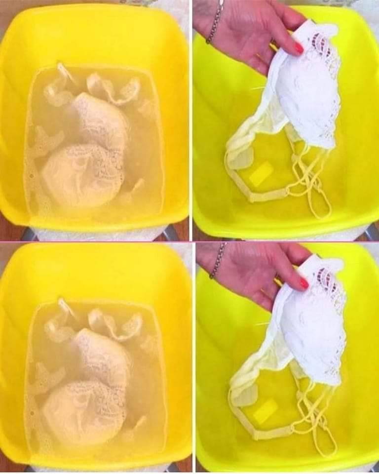 421243190 122129205518047708 4744314472804539999 N