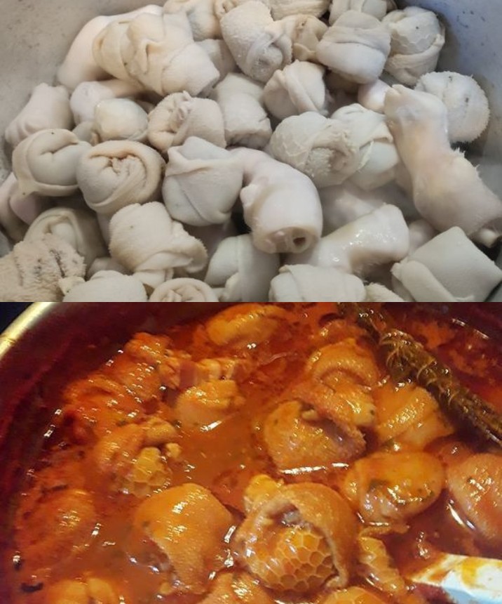 421261511 288857314206862 6759503754726699885 N