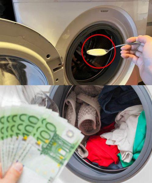 488658954 122169064316327855 484698364114517244 N