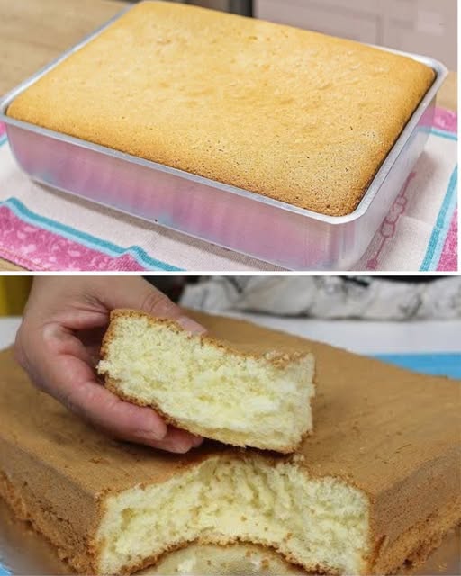 554928782 694016467053262 7043532144181376892 N